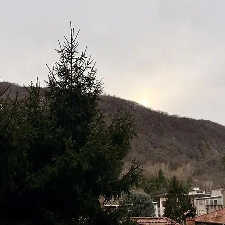 Lägenhet Harlem - - Monte Olimpino Como